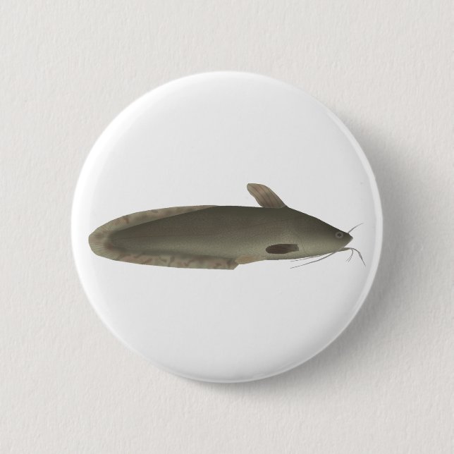 Eeltail Catfish Knapp (Framsida)