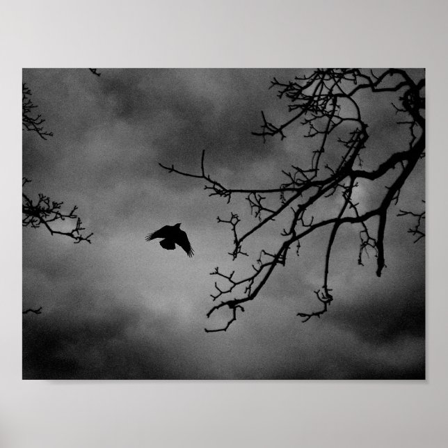 Eerie Bird in Flight Poster (Framsidan)