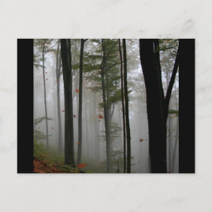 EERIE FOREST TRÄD LÖV FULLT HÖST FÄRGER VYKORT