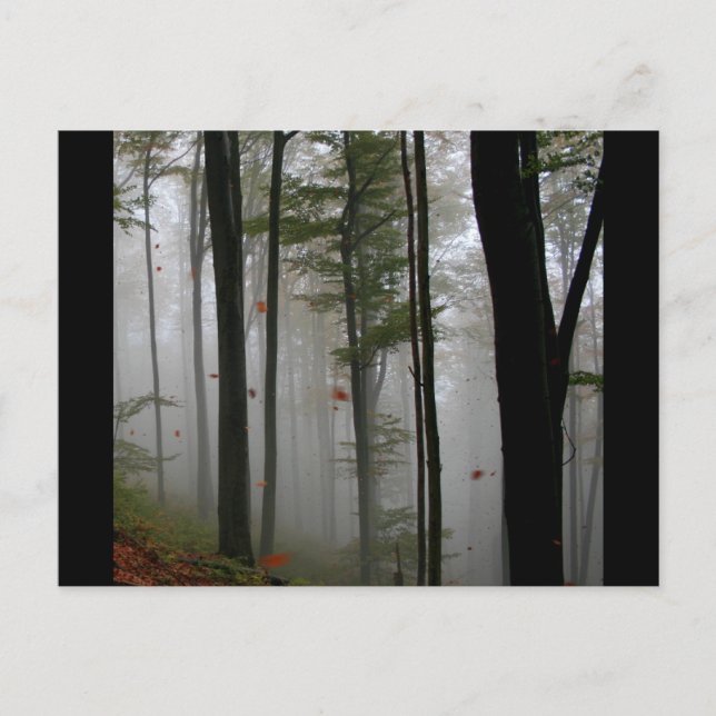 EERIE FOREST TRÄD LÖV FULLT HÖST FÄRGER VYKORT (Framsida)