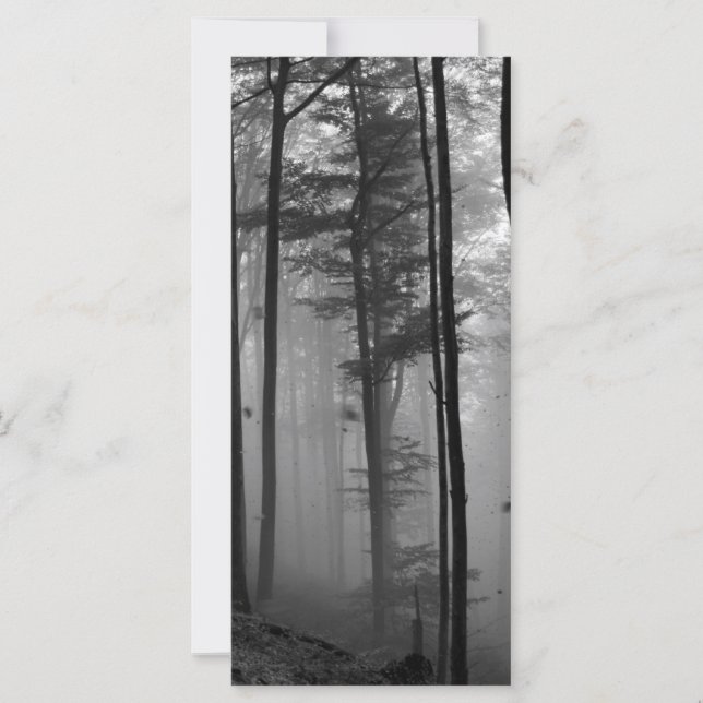 EERIE SKOGEST TRÄD LÖV B&W (Framsida)