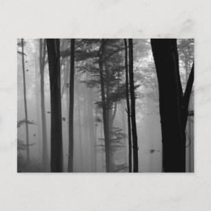 EERIE SKOGEST TRÄD LÖV B&W VYKORT