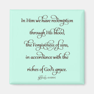 Efesier 1:6-8 magnet