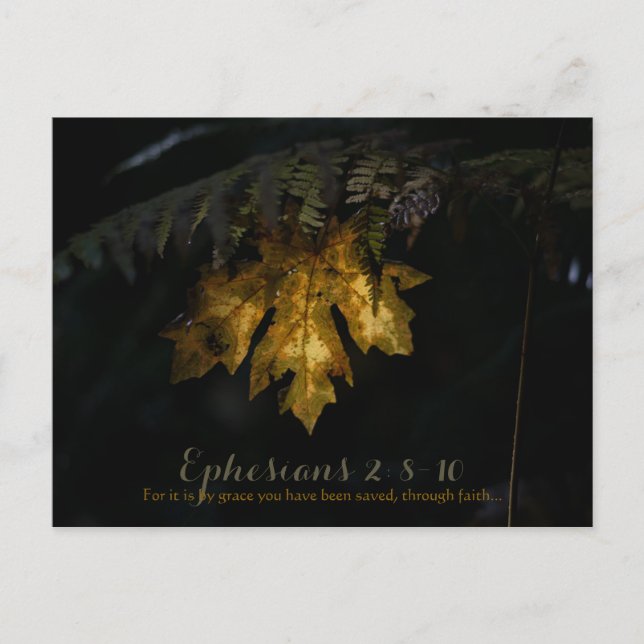 Efesier Vykort (Framsida)