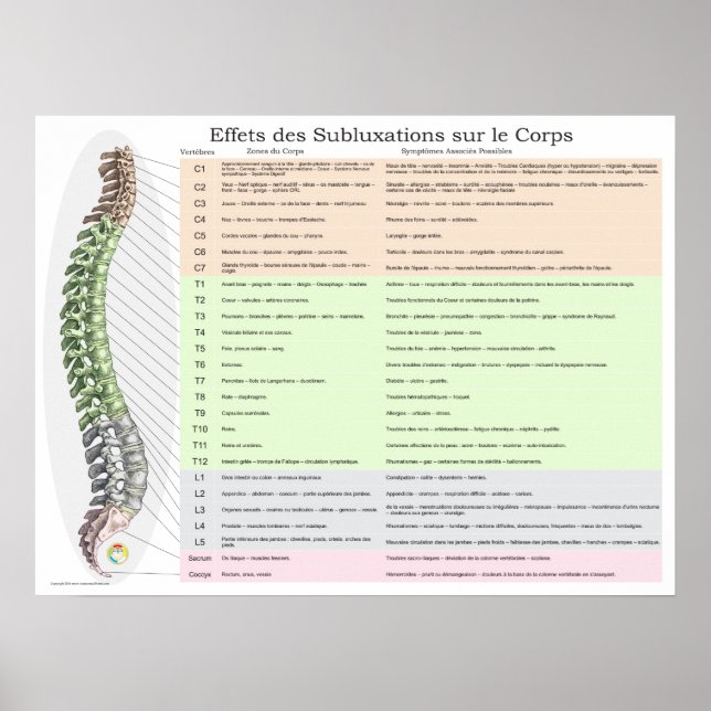 Effekter av spinal subluxation i Fransk Poster (Framsidan)