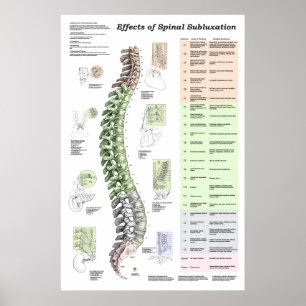 Effekter av spinal subluxation Poster fropraktik