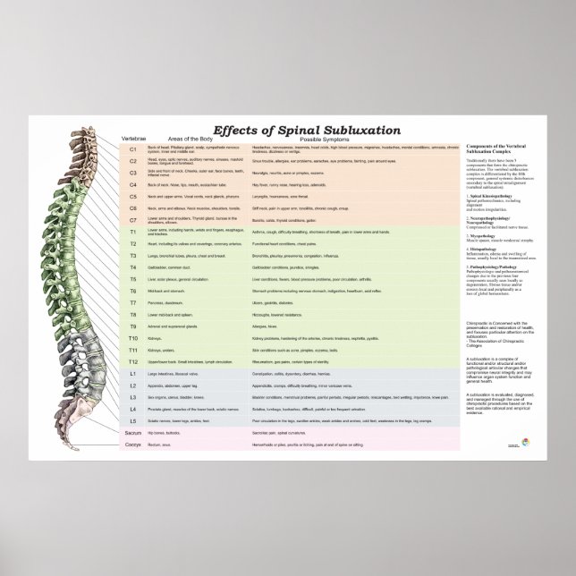 Effekter av spinalsubluxation Poster frossa (Framsidan)