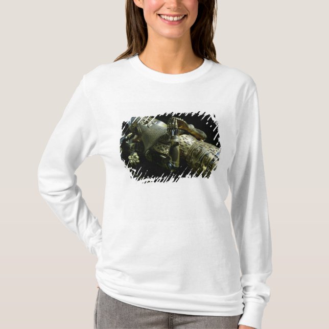 Effigy av Edward den svart princen, 1376 T Shirt (Framsida)