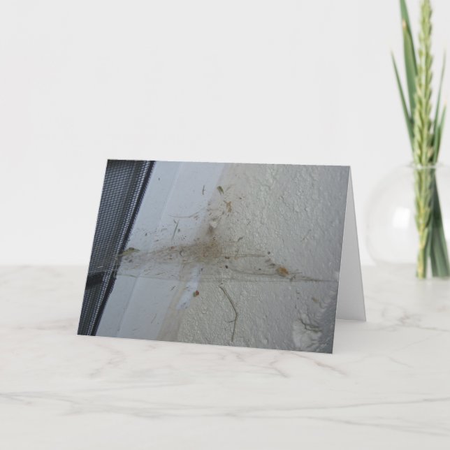 "Efter en Spiders House-Party" Hallvart'en Card Kort (Framsida)
