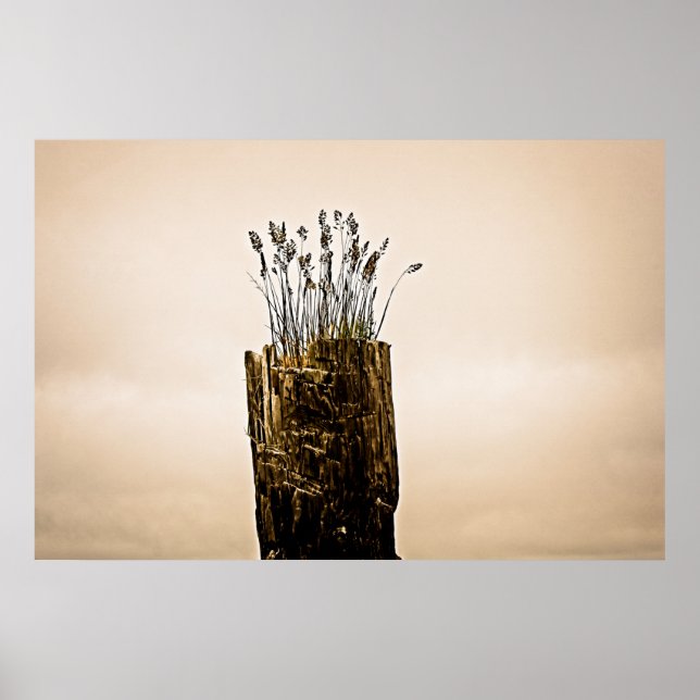 Efter Gras Poster (Framsidan)
