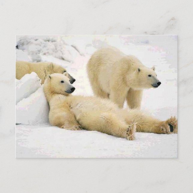 Efter inneremballage vykort (Framsida)