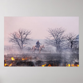 Efter präriebranden, Flint Hills, Kansas Poster