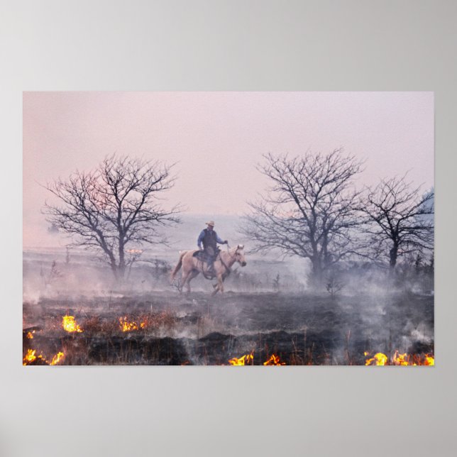 Efter präriebranden, Flint Hills, Kansas Poster (Framsidan)
