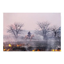 Efter präriebranden, Flint Hills, Kansas