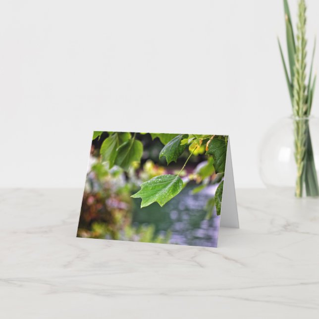 Efter primärkortet kort (Framsida)