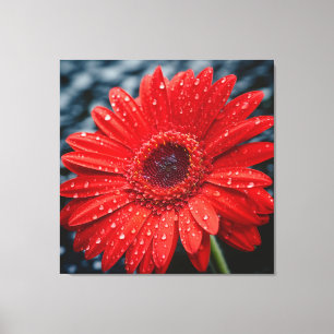 Efter Realismmålning i Rain Gerbera Daisy Canvastryck
