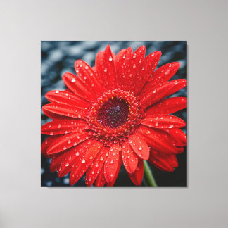 Efter Realismmålning i Rain Gerbera Daisy Canvastryck