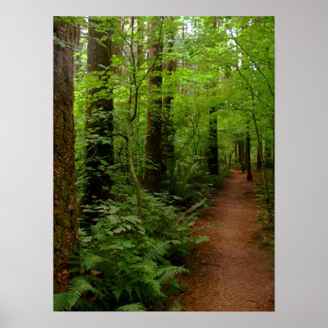 efter regnet poster (Framsidan)