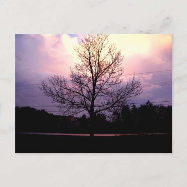 Efter regnet vykort (Framsida)