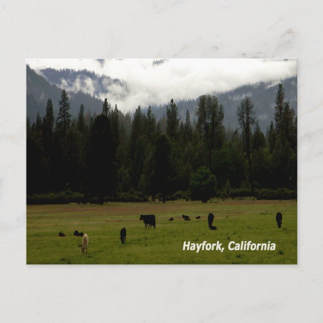 Efter regnet....... vykort (Framsida)