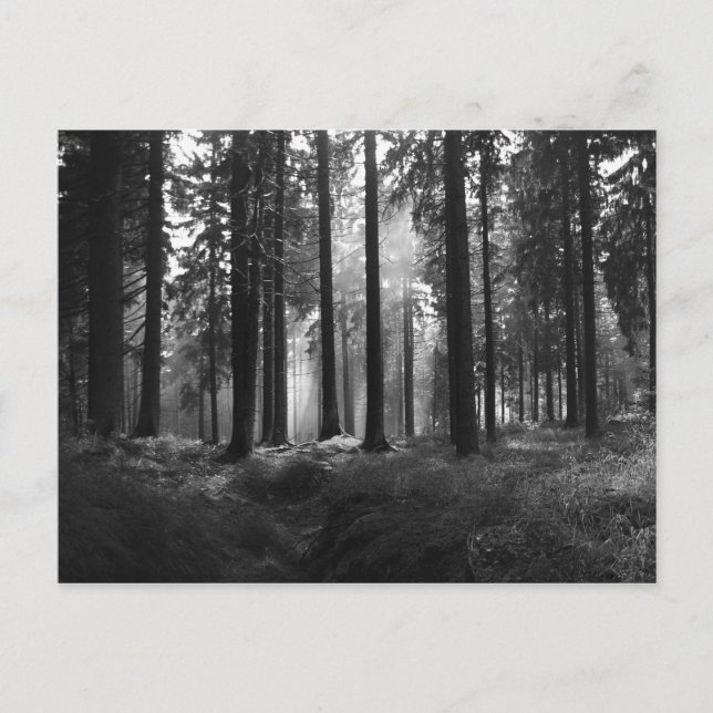 Efter ryggmärgsvykortet vykort (Framsida)