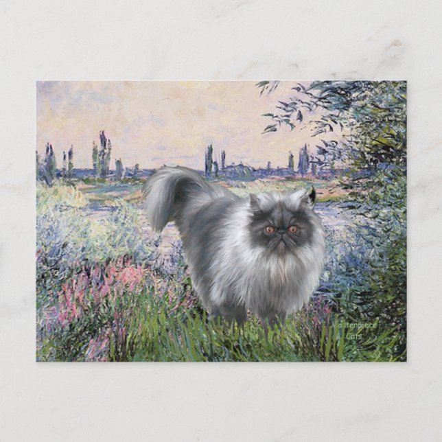 Efter Seine - Blue Smoke Persian cat Vykort (Framsida)