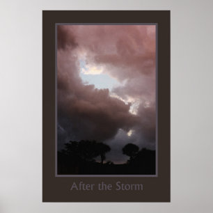 Efter stormen poster