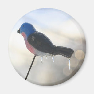 Efter stormen Vinter Natur Foto Magnet