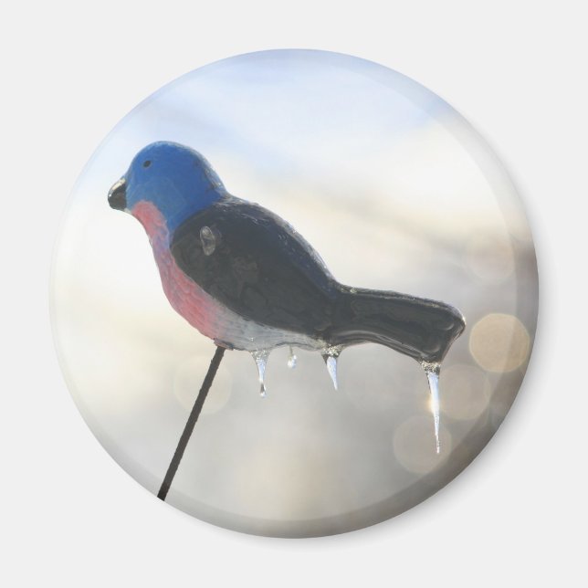 Efter stormen Vinter Natur Foto Magnet (Framsidan)