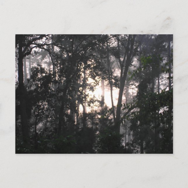 Efter stormen - vykort nr 2 (Framsida)