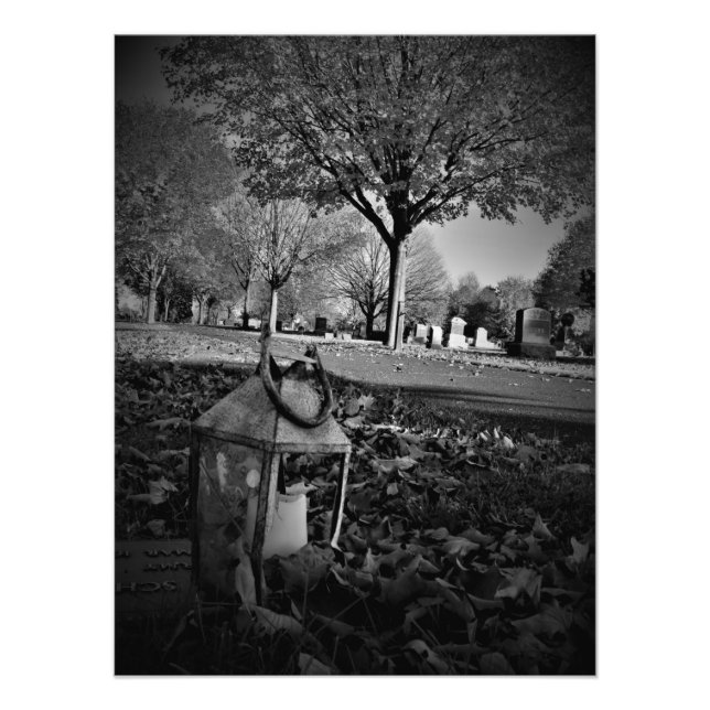 "Efterlevande Lantern" Fototryck (Framsidan)