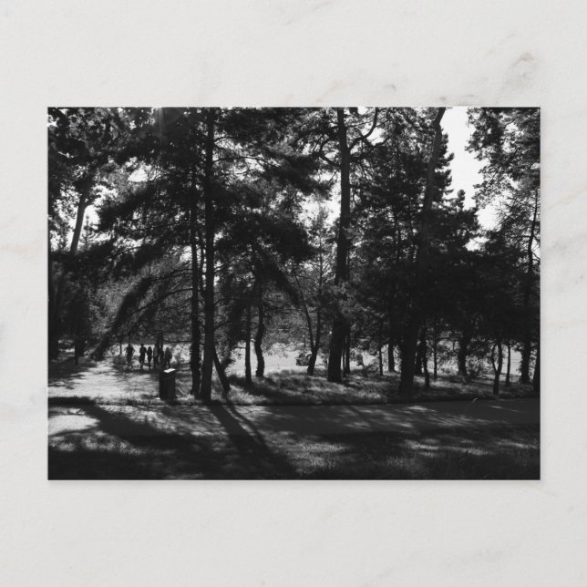 Eftermiddag i parken vykort (Framsida)