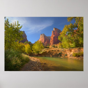Eftermiddag i Zions nationalpark Poster