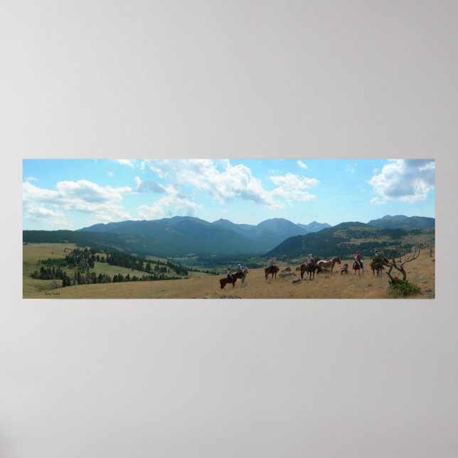 Eftermiddagen i Sverige Poster (Framsidan)