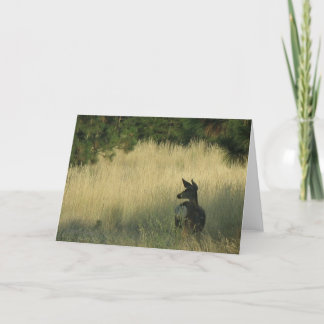 Eftermiddagen Mulie, hälsningkort markerar by Kort