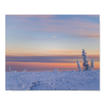 Eftermiddagsglöd