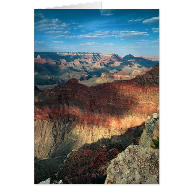 Eftermiddagskorg Hälsningskort (Framsidan)