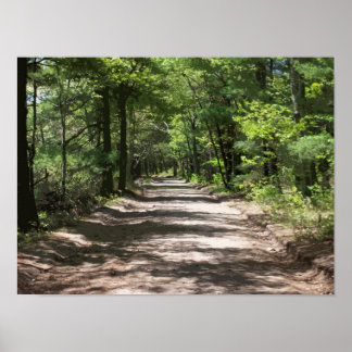 Eftermiddagskorg Poster