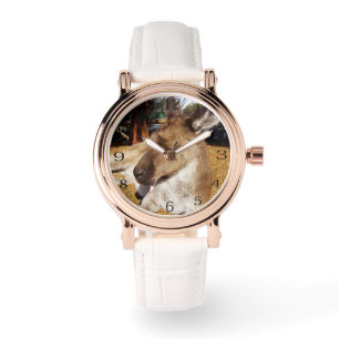 Eftermiddagsnappar: Sömnig Australian Kangaroo, Armbandsur