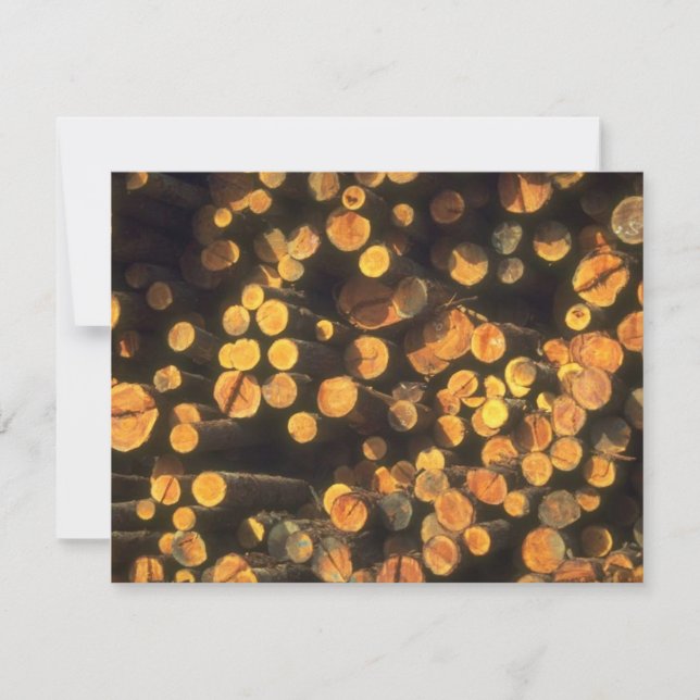 Eftermiddagsolen loggar logger'sens inbjudningar (Framsida)