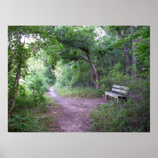 Eftermiddagsskugga i skogen poster (Framsidan)