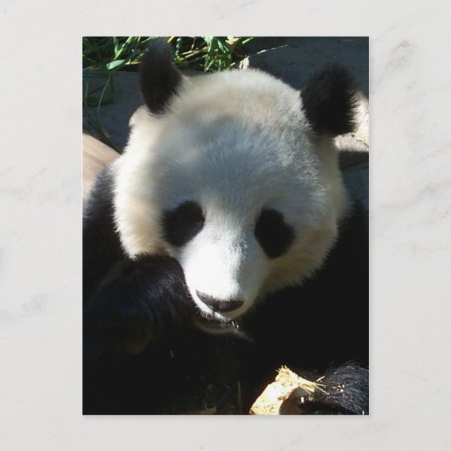 Eftermiddagssnack 1 vykort (Framsida)