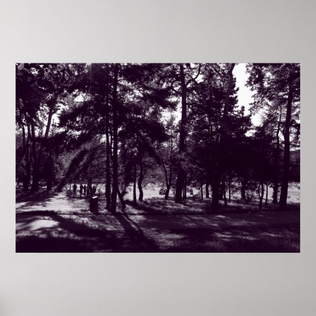Eftermiddagstid i parken (Lila Toning) Poster (Framsidan)