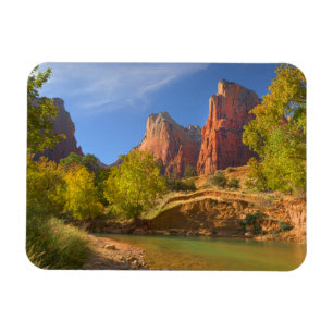 Eftermiddagstid i Zions nationalpark Magnet