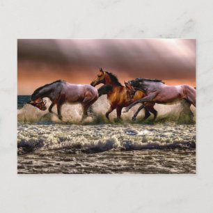 Eftermiddagstid Roligt i Surfan Vykort