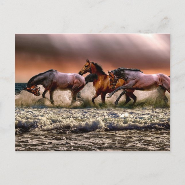 Eftermiddagstid Roligt i Surfan Vykort (Framsida)