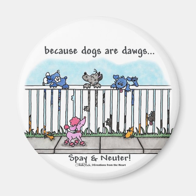 Eftersom Hundar är Dawgs Magnet (Framsidan)