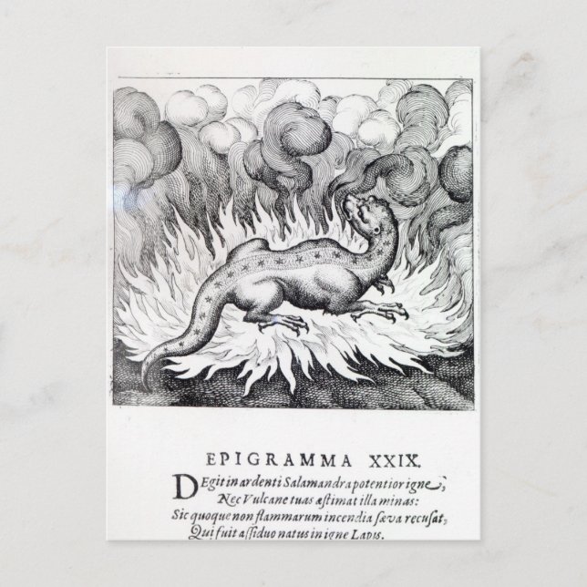 Eftersom Salamandern lever i eld Vykort (Framsida)