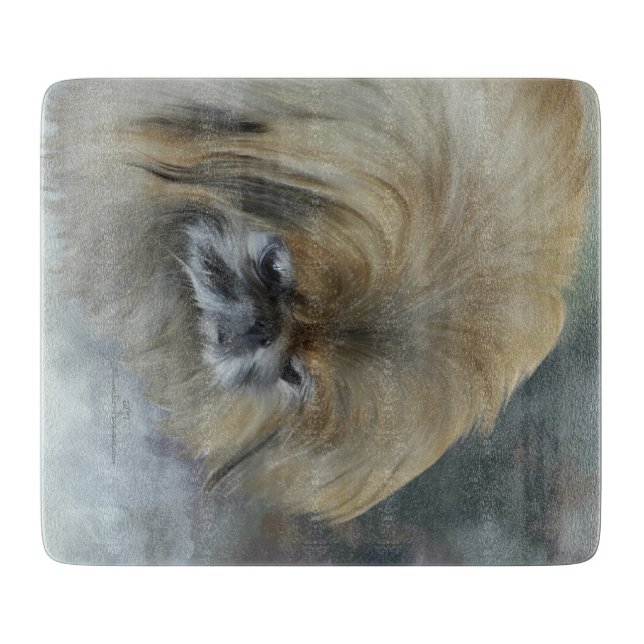 Eftertänksam Pekingeser (Framsidan)