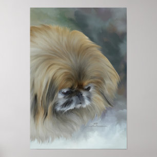Eftertänksam Pekingeser Poster